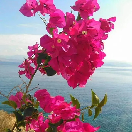 Villa Sunsenses Ariadne *