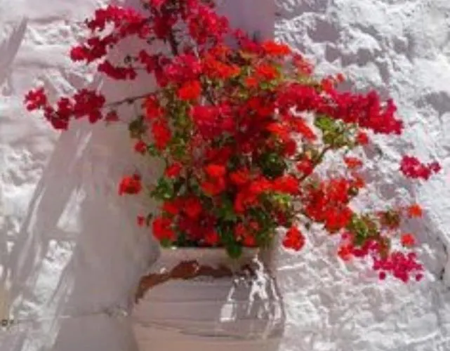 Villa Sunsenses Ariadne Piso Livadi