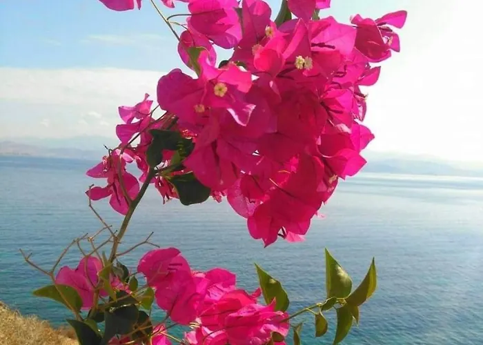 Villa Sunsenses Ariadne *